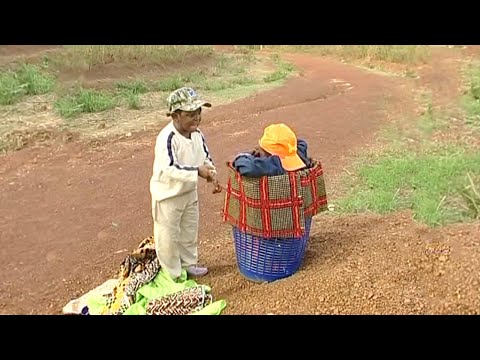 You Will Laugh Till You Remember Your Childhood Days With This Aki &amp;Pawpaw Comedy - A Nigerian Movie