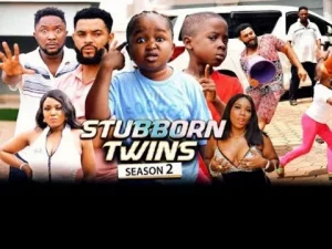 Stubborn Twins Season 2