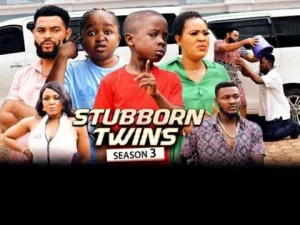 Stubborn Twins 3 Nigerian Movie