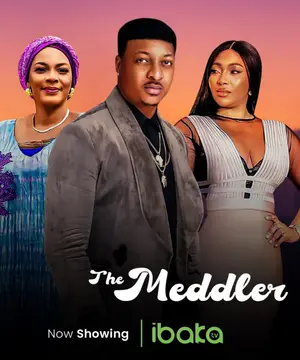 The Meddler Nollywood Movie