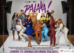 Palava Nigerian Movie