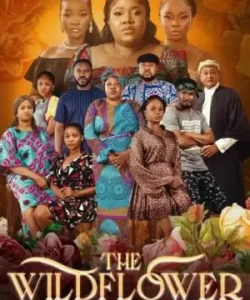 The Wildflower Nigerian Movie